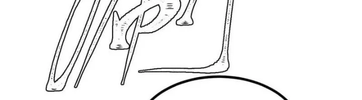 All Hail the Sect Leader Chapter 511 Gambar 34