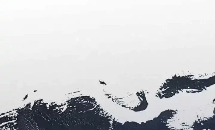 Black-Haired Knight King Chapter 15 Gambar 40