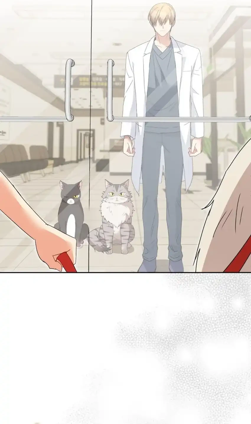 Hello? Veterinarian! Chapter 112 Gambar 36
