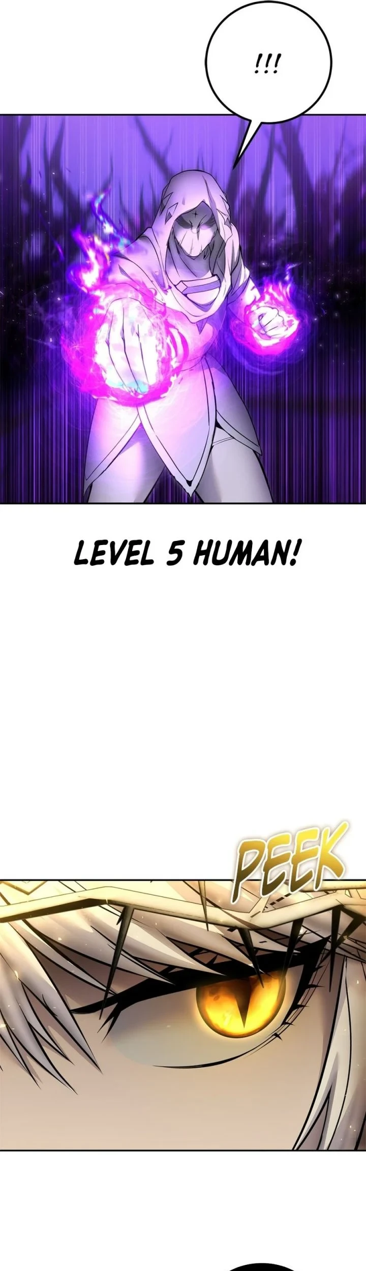 I Was More Overpowered Than The Hero, So I Hid My Power! Chapter 105 Gambar 30