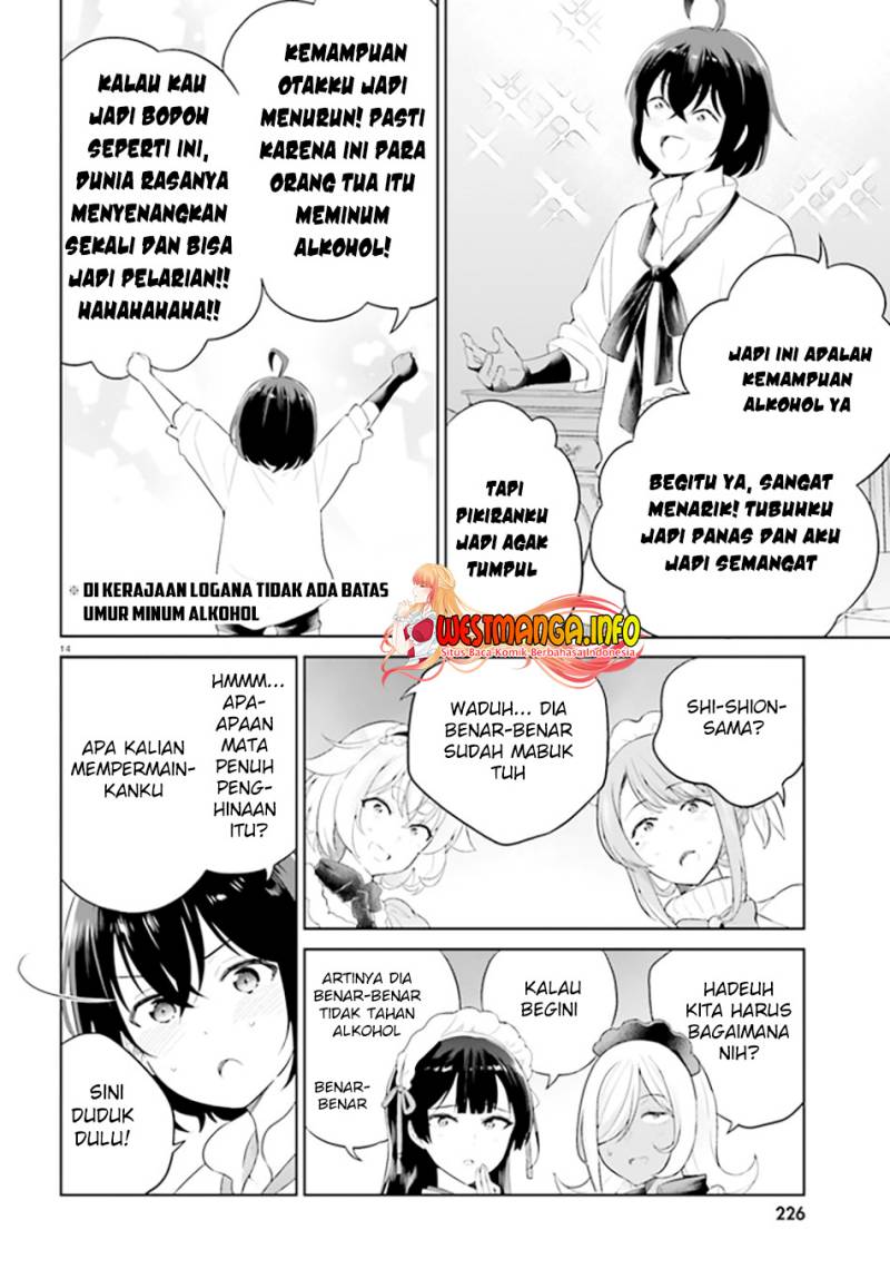 Halaman 17
