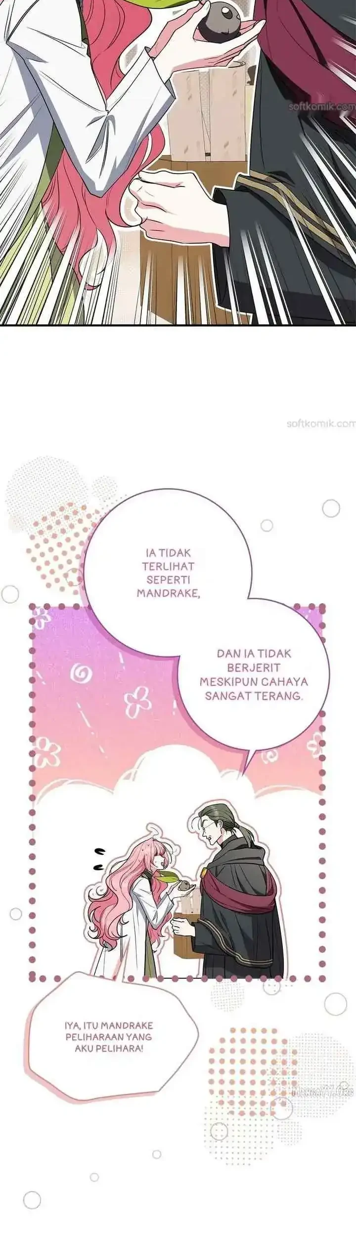 The Beloved Gardener of the World Tree Chapter 24 Gambar 29