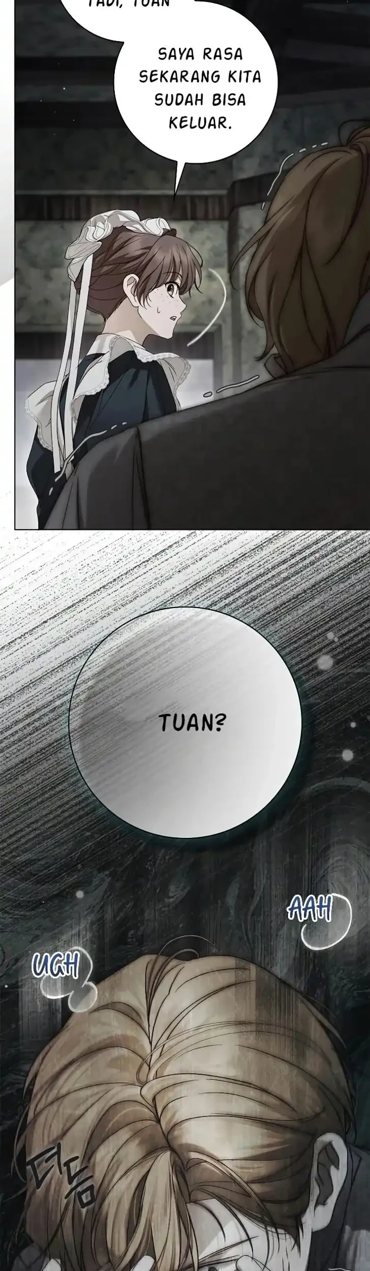 The Count’s Secret Maid Chapter 81 - Halaman 37