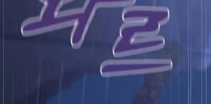 The Lie Chapter 43 Gambar 42