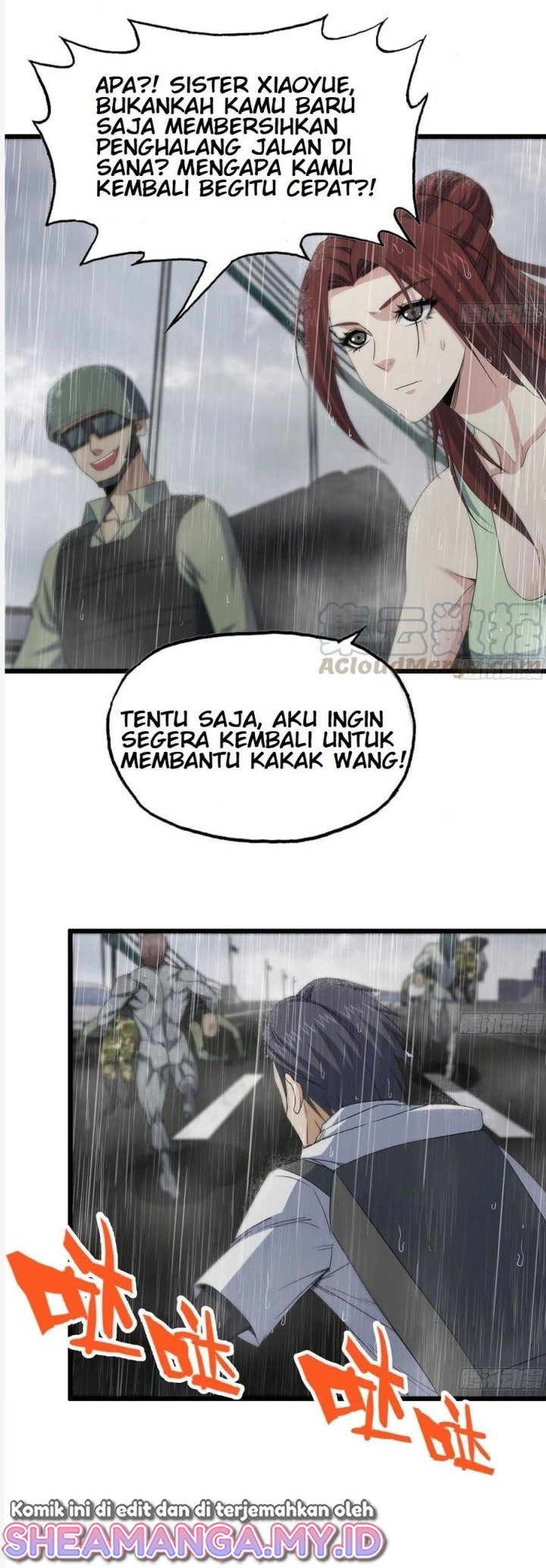 Halaman 17