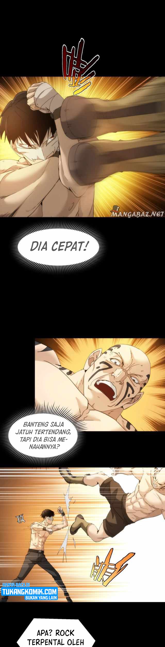Halaman 17