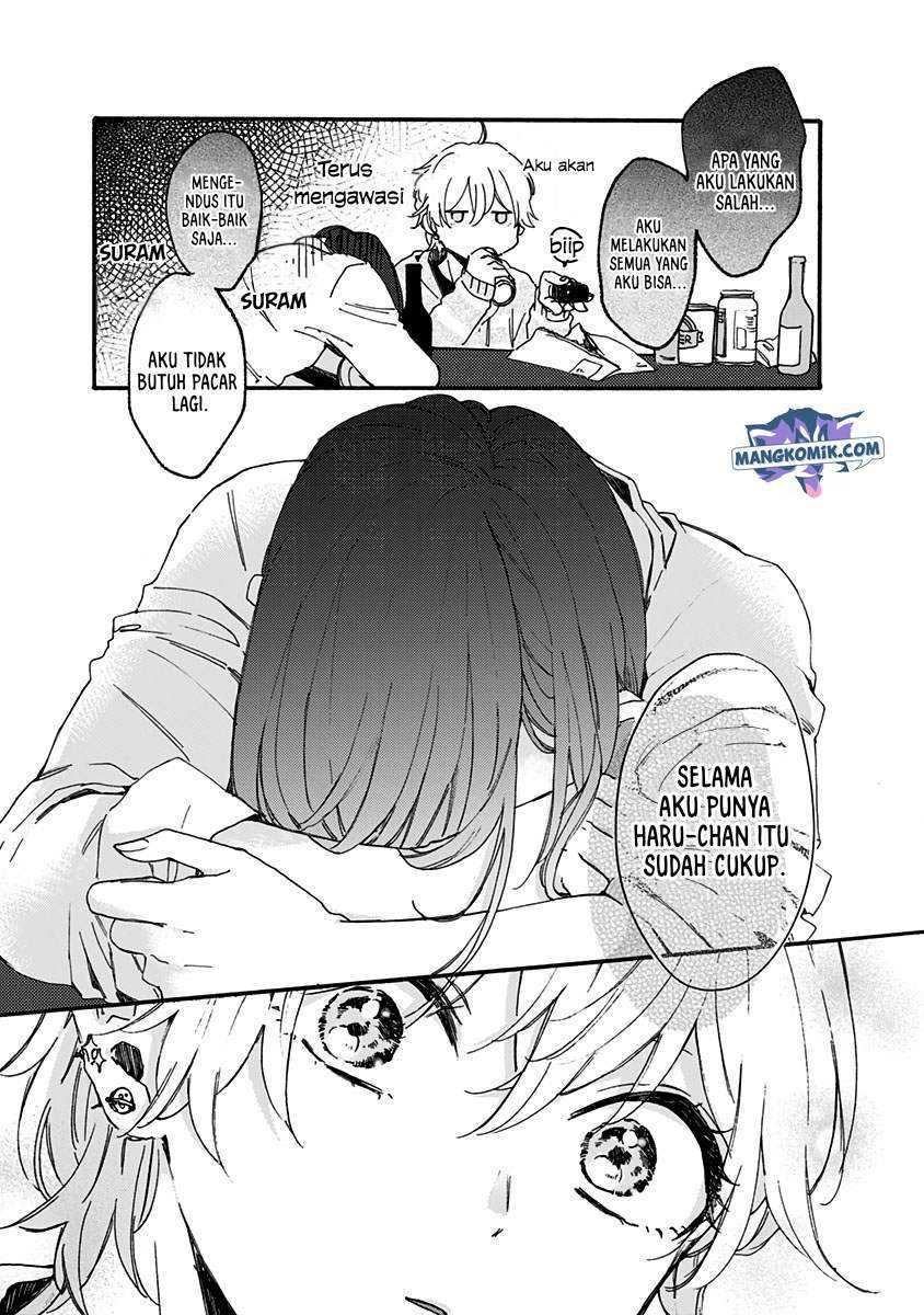 Halaman 17