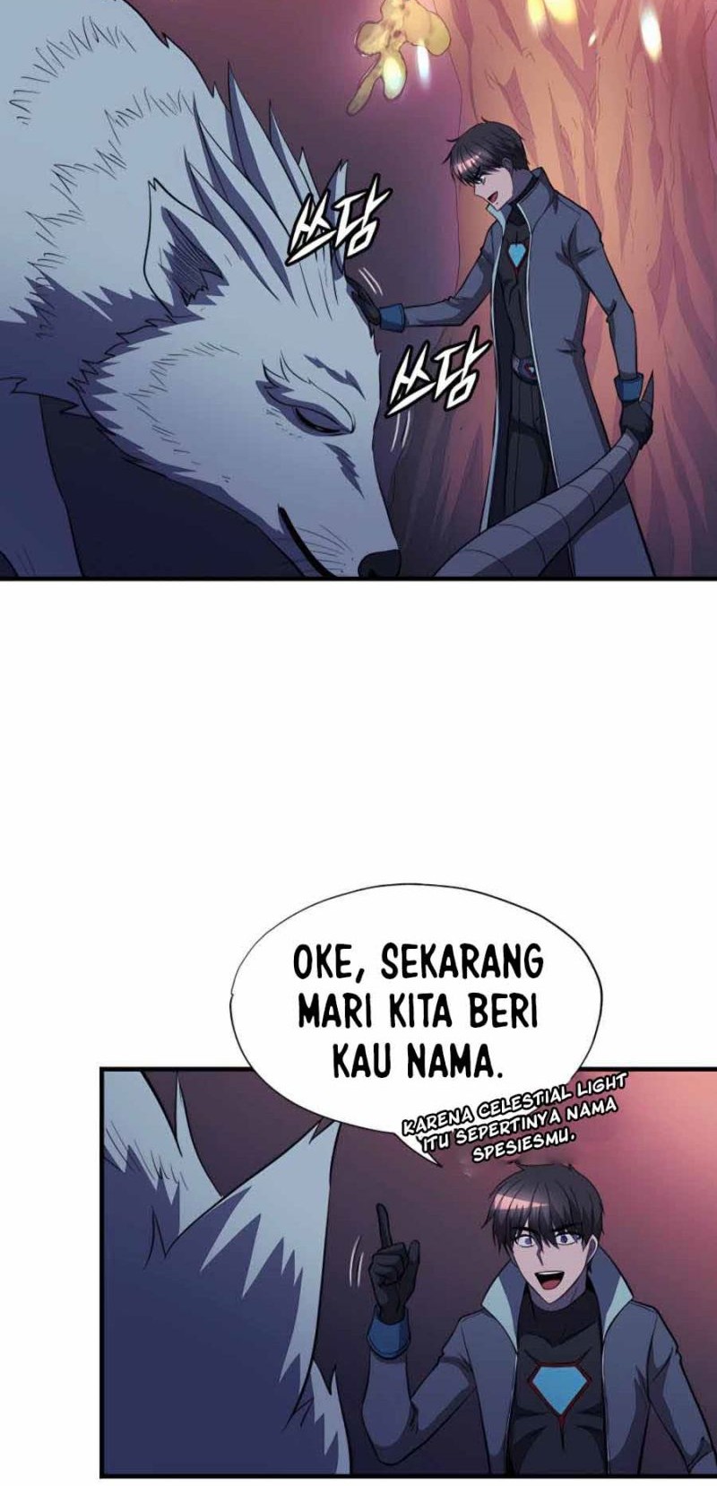 Halaman 24