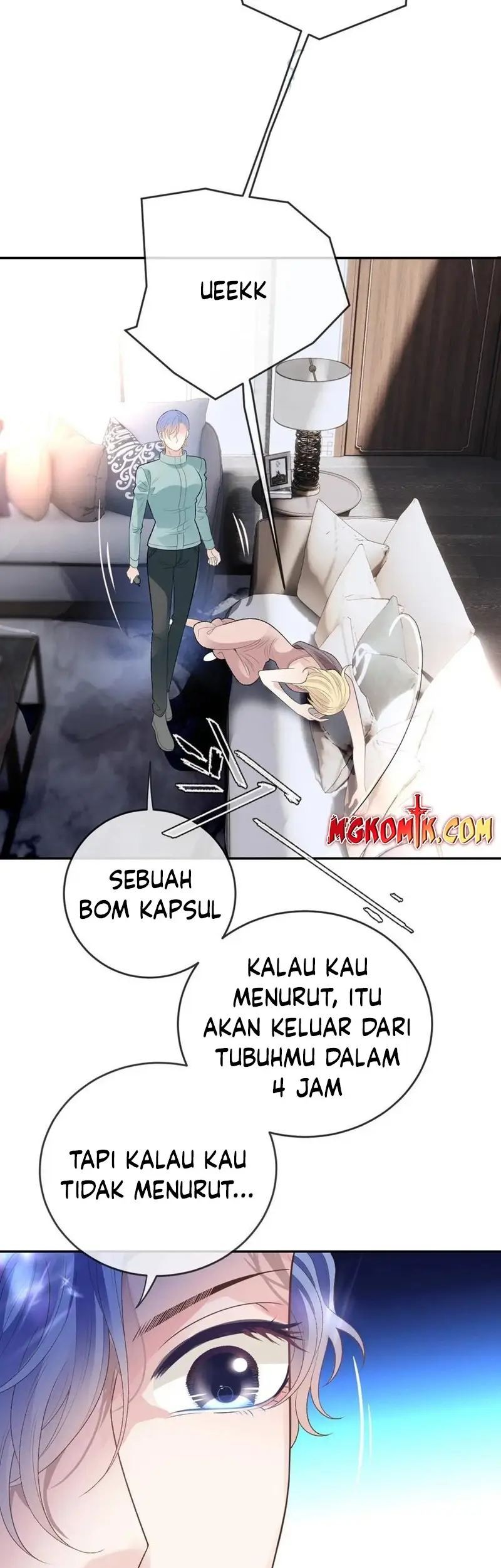 Halaman 17