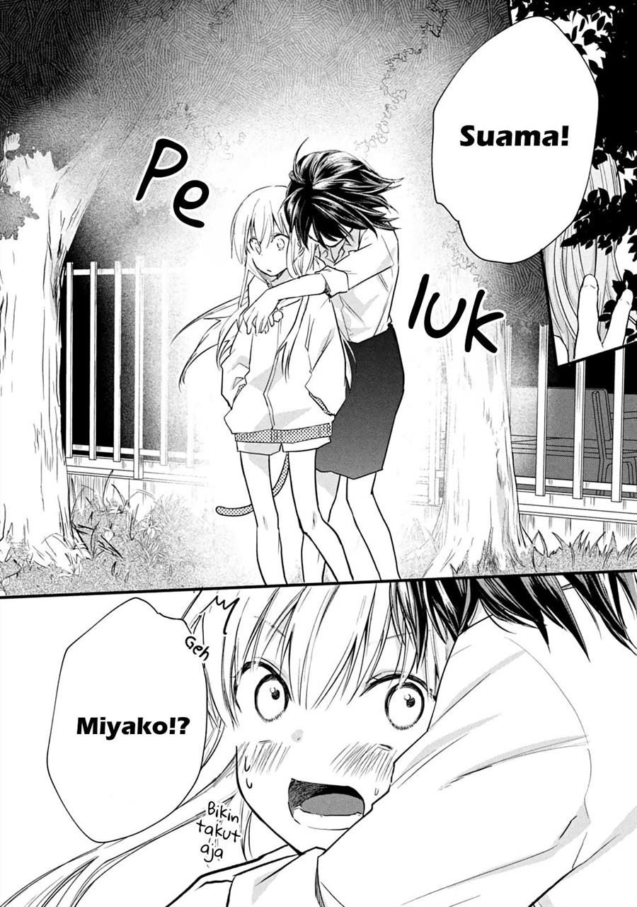 Koneko ga Matterunode Kaerimasu Chapter 11 Gambar 12
