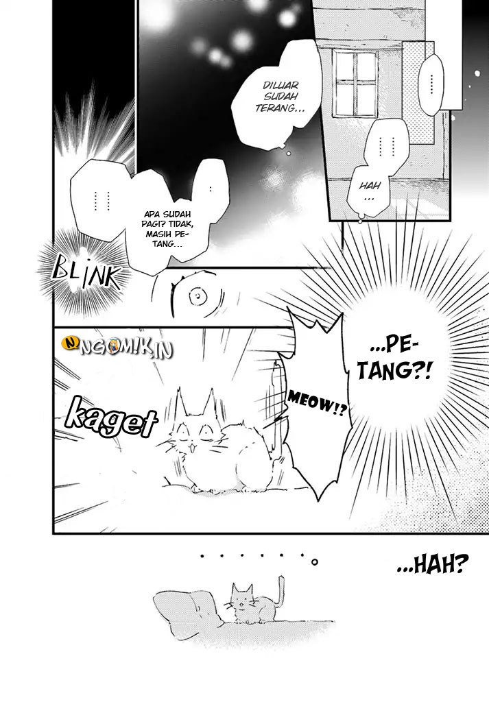 The Vengeful White Cat Lounging on the Dragon King’s Lap Chapter 05 Gambar 18
