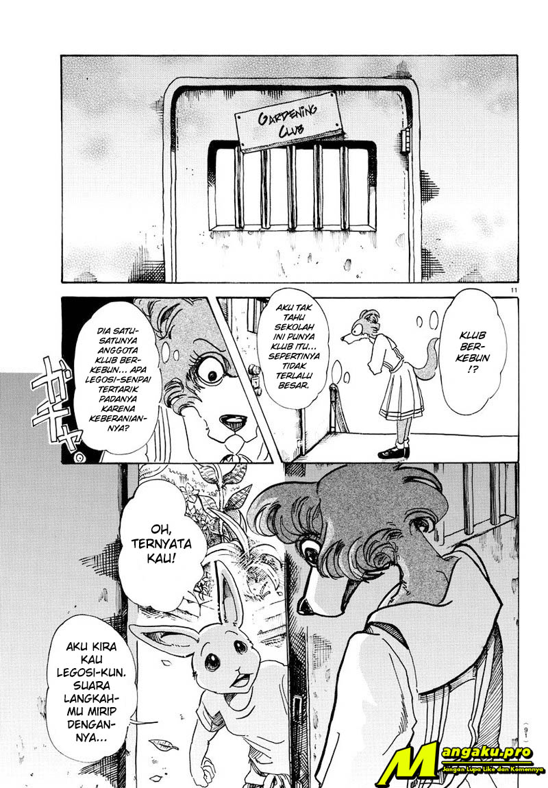 Beastars Chapter 79 Gambar 12