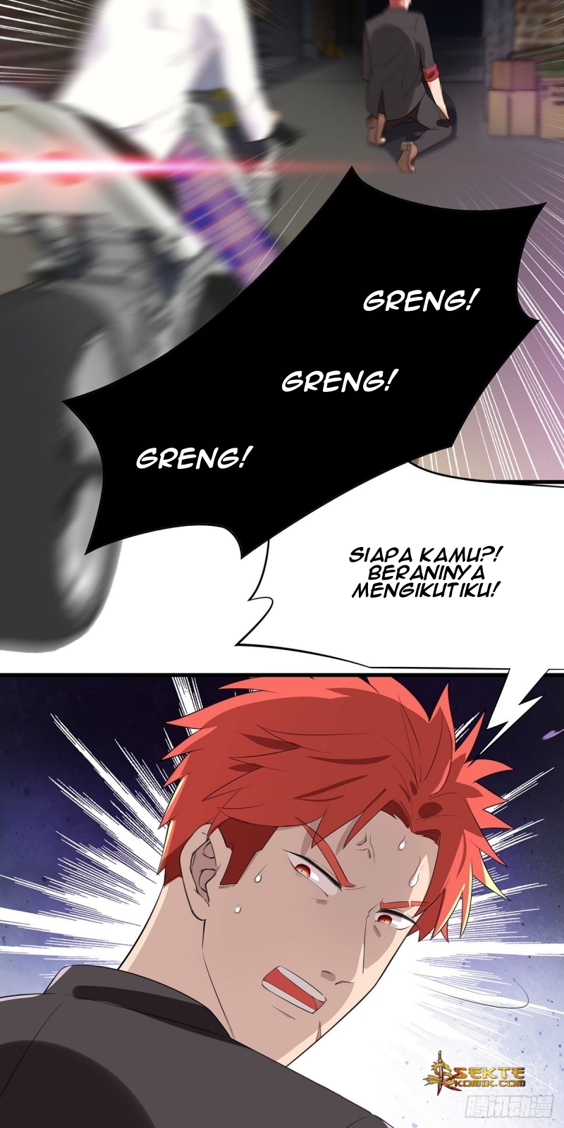 Halaman 17