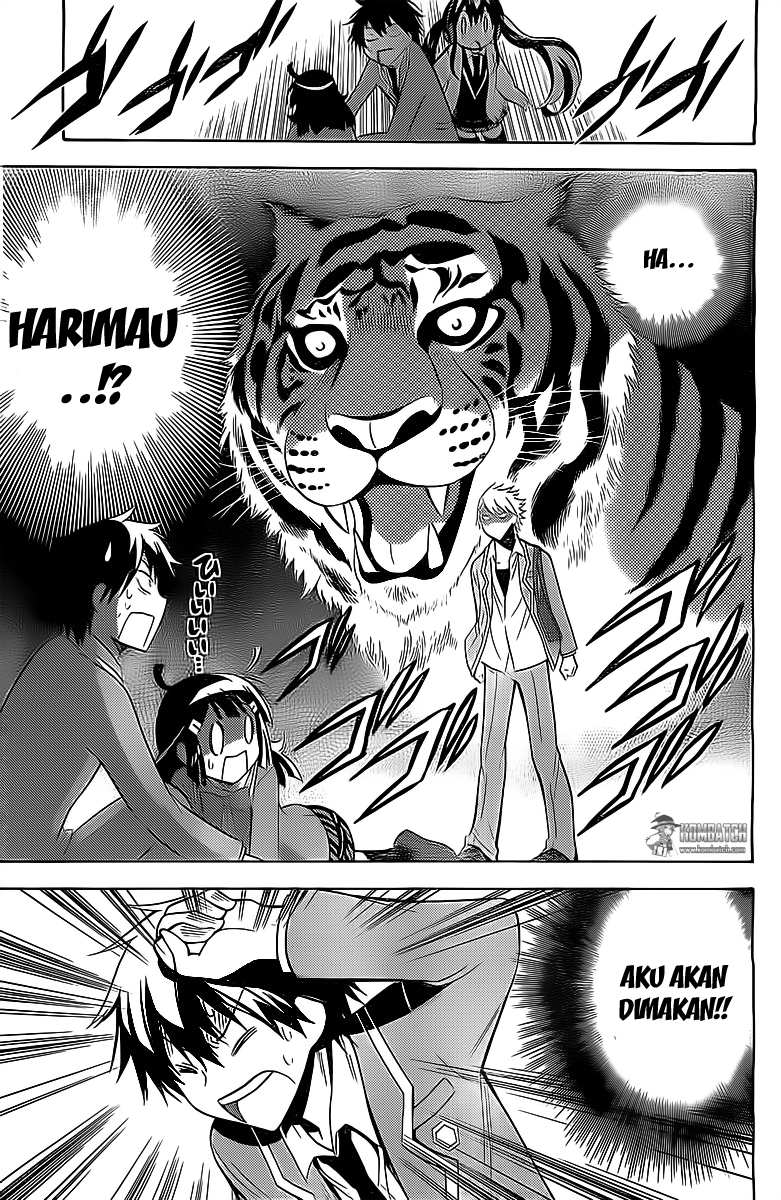 Halaman 19