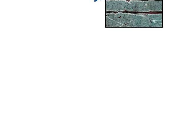 Leviathan Chapter 45 Gambar 23